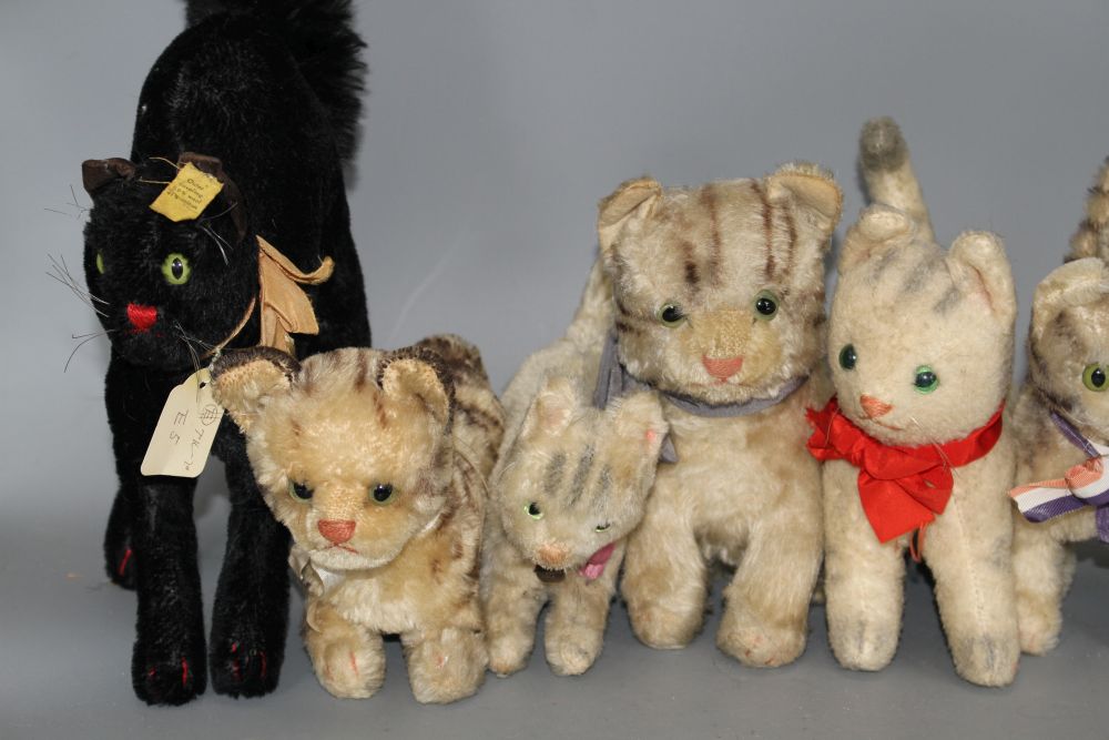 A collection of assorted soft toy cats